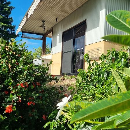 Cow Bay Wompoo Eco Retreat Bed & Breakfast エクステリア 写真