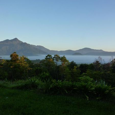 Cow Bay Wompoo Eco Retreat Bed & Breakfast エクステリア 写真