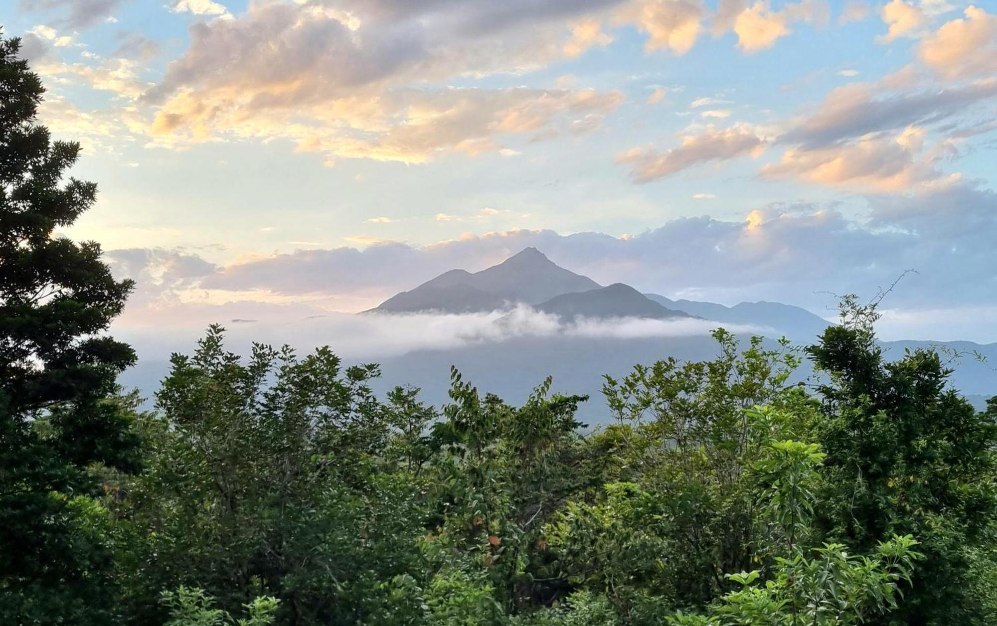 Cow Bay Wompoo Eco Retreat Bed & Breakfast エクステリア 写真