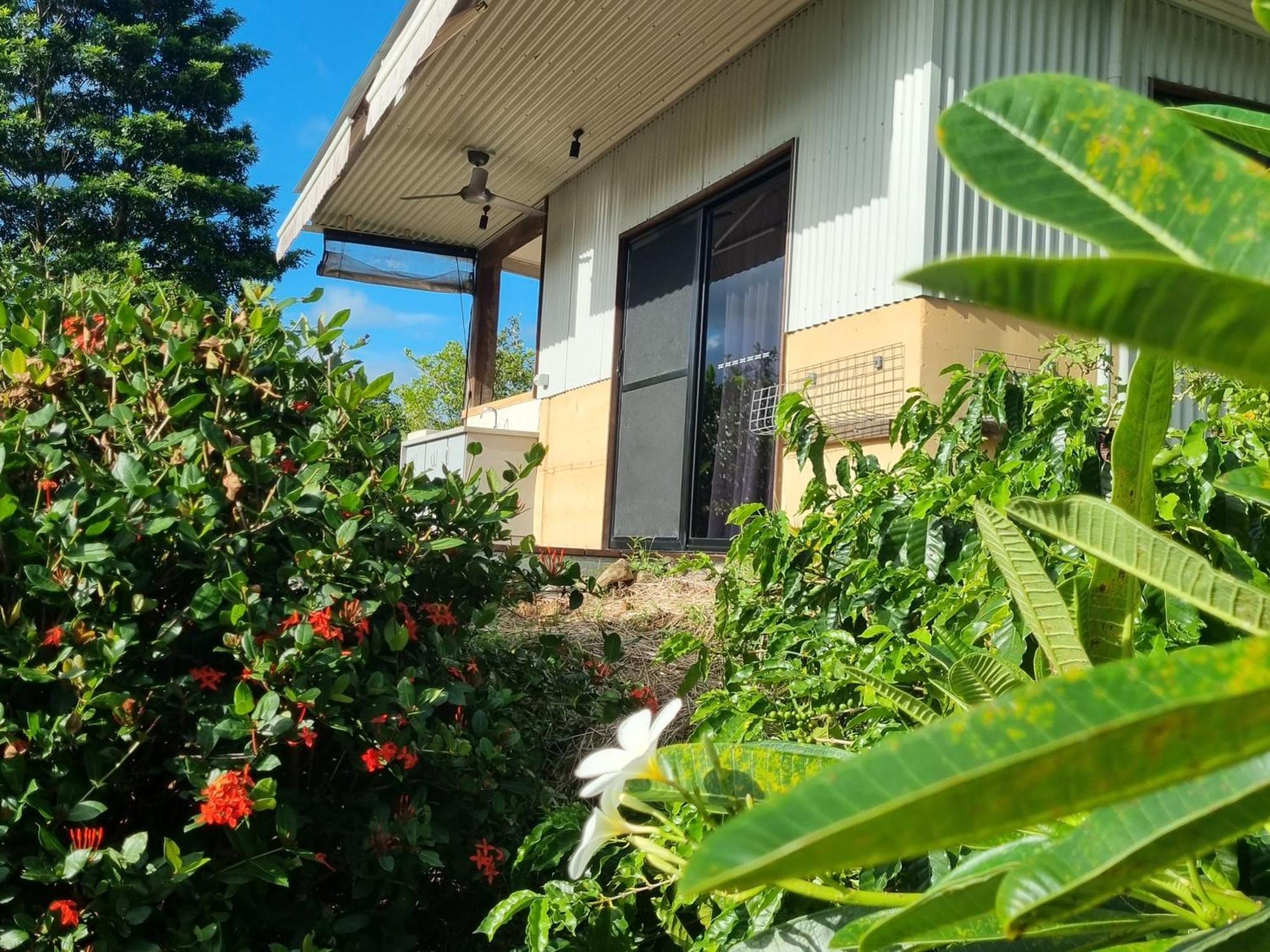 Cow Bay Wompoo Eco Retreat Bed & Breakfast エクステリア 写真