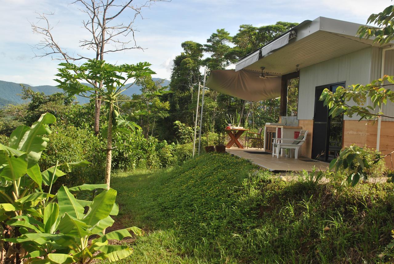 Cow Bay Wompoo Eco Retreat Bed & Breakfast エクステリア 写真
