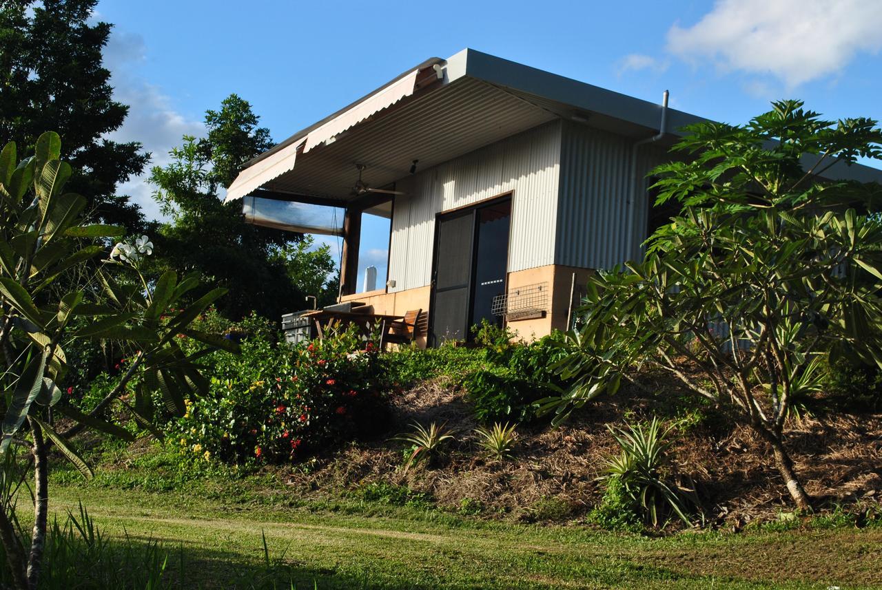 Cow Bay Wompoo Eco Retreat Bed & Breakfast エクステリア 写真