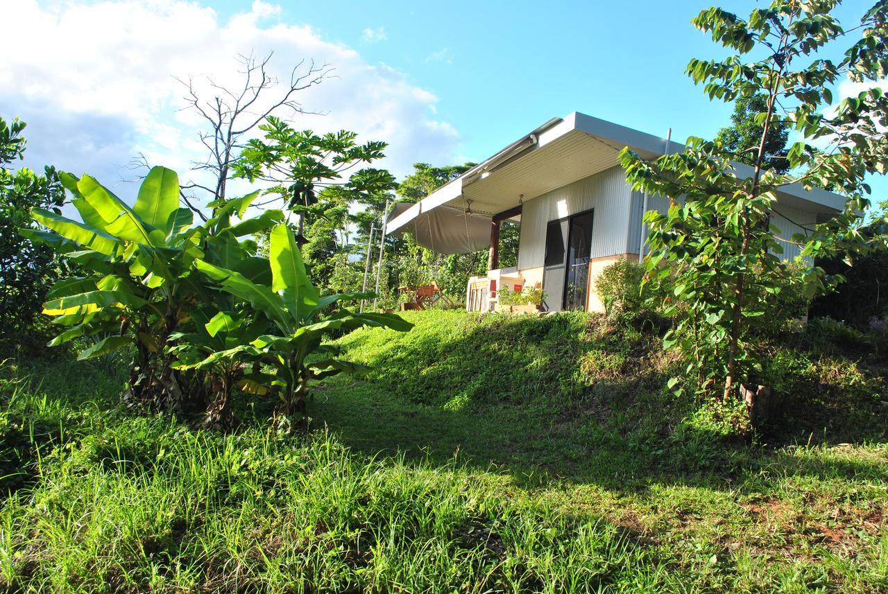 Cow Bay Wompoo Eco Retreat Bed & Breakfast エクステリア 写真