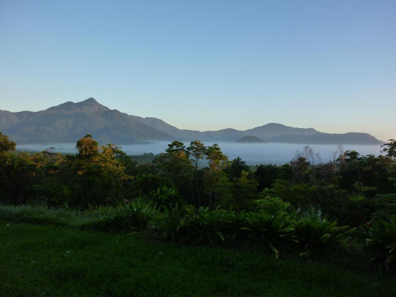 Cow Bay Wompoo Eco Retreat Bed & Breakfast エクステリア 写真